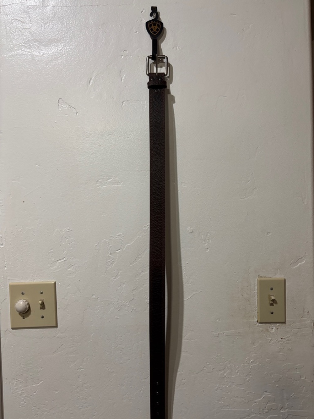 Ariat Brown Leather Textured Belt with Silver Buckle